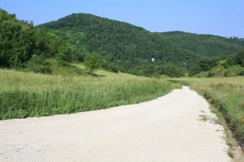 Monte Bibele_1