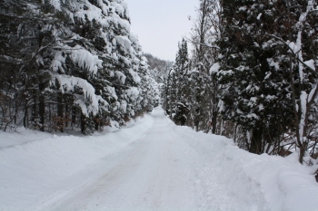 La grande nevicata del 2012